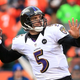 Illustration for article titled Joe Flacco